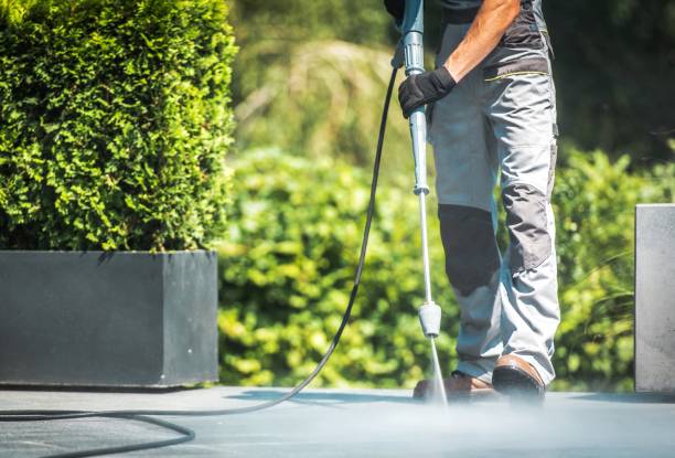 Best Graffiti Removal  in Seabrook, MD