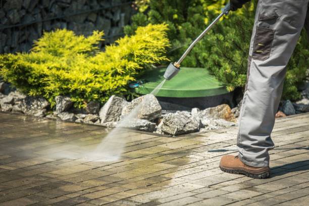 Best Building Exterior Washing  in Seabrook, MD